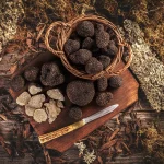 AdobeStock_377041241-min